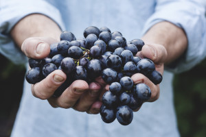 blueberries